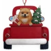 Kurt Adler Personalized Pomeranian In Back Of Truck Ornament -Ornaments Shop 019422 Personalized Pomeranian In Back Of Truck Ornamentblan 51912.1650388614
