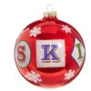 Shiny Red Ball Ornament With SKI -Ornaments Shop 1158 Untitled design 53605.1679156254
