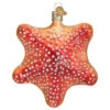 Old World Christmas - Red Starfish Ornament -Ornaments Shop 119 Untitled design 59060.1649418691