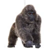 Kurt Adler Plush Gorilla Ornament 1 Kurt Adler Plush Gorilla Ornament -Ornaments Shop 1224 Untitled design 29363.1679313088