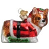 Old World Christmas - Holly Hat Corgi Puppy Ornament 2 Old World Christmas - Holly Hat Corgi Puppy Ornament -Ornaments Shop 124 Untitled design 14936.1649425121