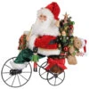 Karen Didion - Lit Biking Thru Christmas Santa