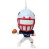 Hallmark New England Patriots Bobble Head Ornament 1 Hallmark New England Patriots Bobble Head Ornament -Ornaments Shop 531610 New England Patriots Bobble Head Ornament 06288.1666203405
