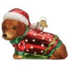 Old World Christmas - Dashing Dachshund Ornament 2 Old World Christmas - Dashing Dachshund Ornament -Ornaments Shop 62 Untitled design 2 66888.1654194526