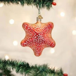 Old World Christmas - Red Starfish Ornament -Ornaments Shop 64 Untitled design 1 50563.1649418694