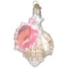 Old World Christmas -Mexican Seashell Ornament -Ornaments Shop 712177 Old World Christmas Mexican Seashell Ornament 56424.1655389970