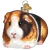 Old World Christmas - Guinea Pig Ornament -Ornaments Shop 712542 Old World Christmas Guinea Pig Ornament 43929.1654195731