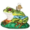 Old World Christmas - Red-Eyed Tree Frog Glass Ornament -Ornaments Shop 71 Untitled design 1 48886.1656610650