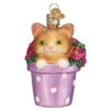 Kitten In Flower Pot Ornament -Ornaments Shop Kitten In Flower Pot Ornament 43666.1679685501