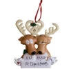 Personalized Reindeer Couple In Love Ornament