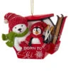 Kurt Adler Penguin And Polar Bear In Gondola Ornament -Ornaments Shop Untitled design 13176.1653993014
