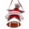 Kurt Adler Fantasy Football With Star Ornament For Personalization -Ornaments Shop a2209 09624.1654524100
