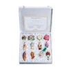 Old World Christmas - 12 Pc. Ornament Bride Gift Box Set -Ornaments Shop old world christmas bridal gift box 90442.1474741480
